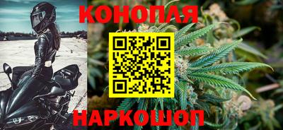 a pvp Лесосибирск