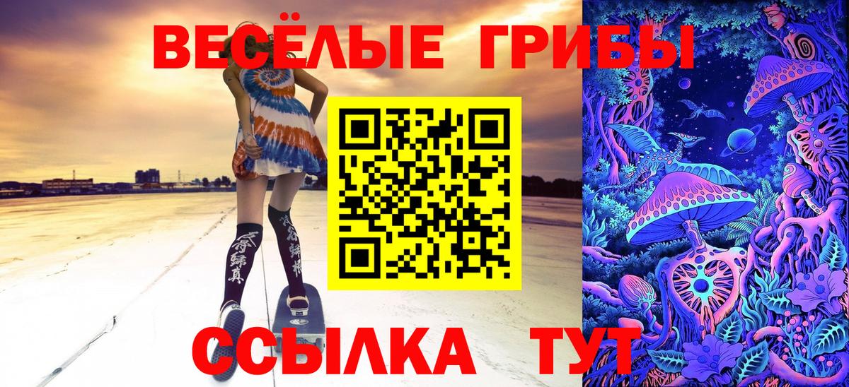Псилоцибиновые грибы прущие грибы Железноводск